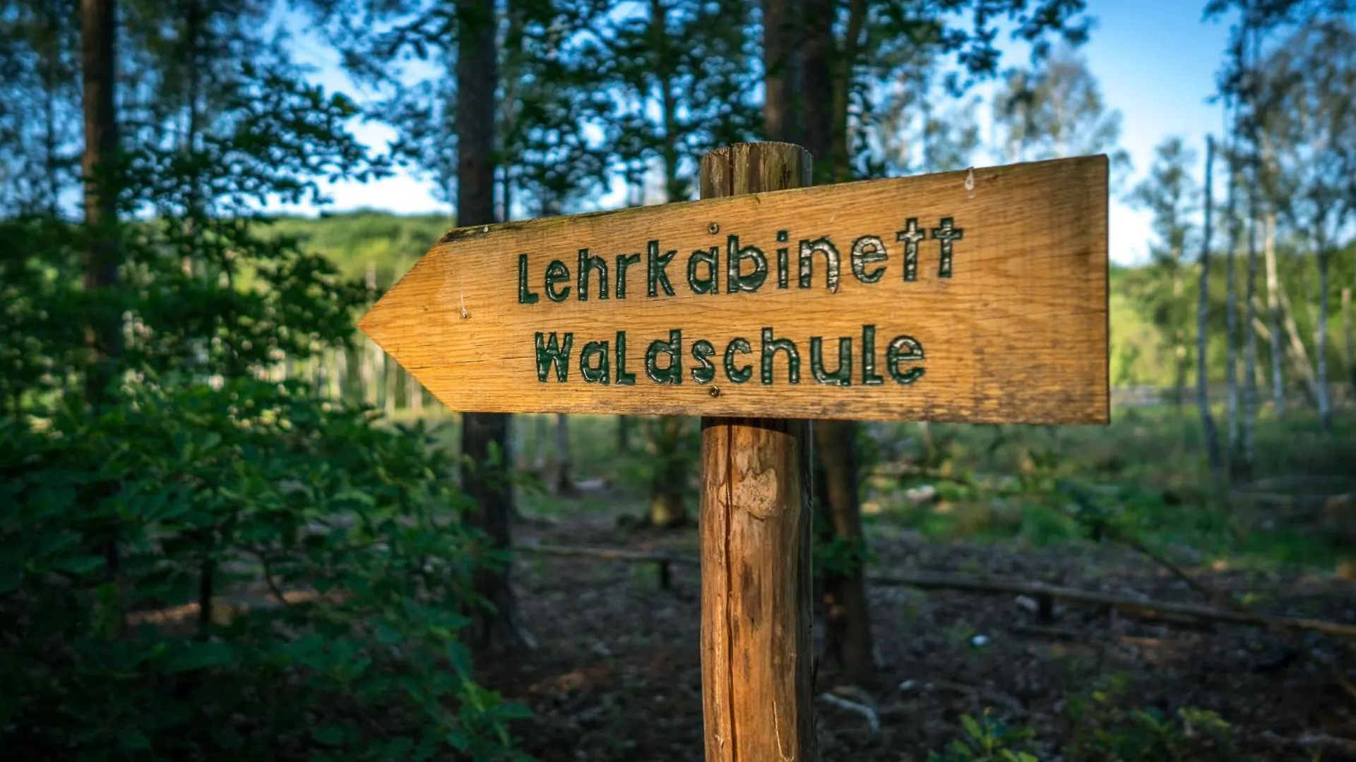 Ferienpark Ruebezahl Am Mueggelsee, Haus 19 Mis Tel Mit Eigener Sauna, Idealer Ort Fuer Natur- Und Erholungssuchende, Fuer Radfahrer Und Familien Mit Kindern Berlin Germany