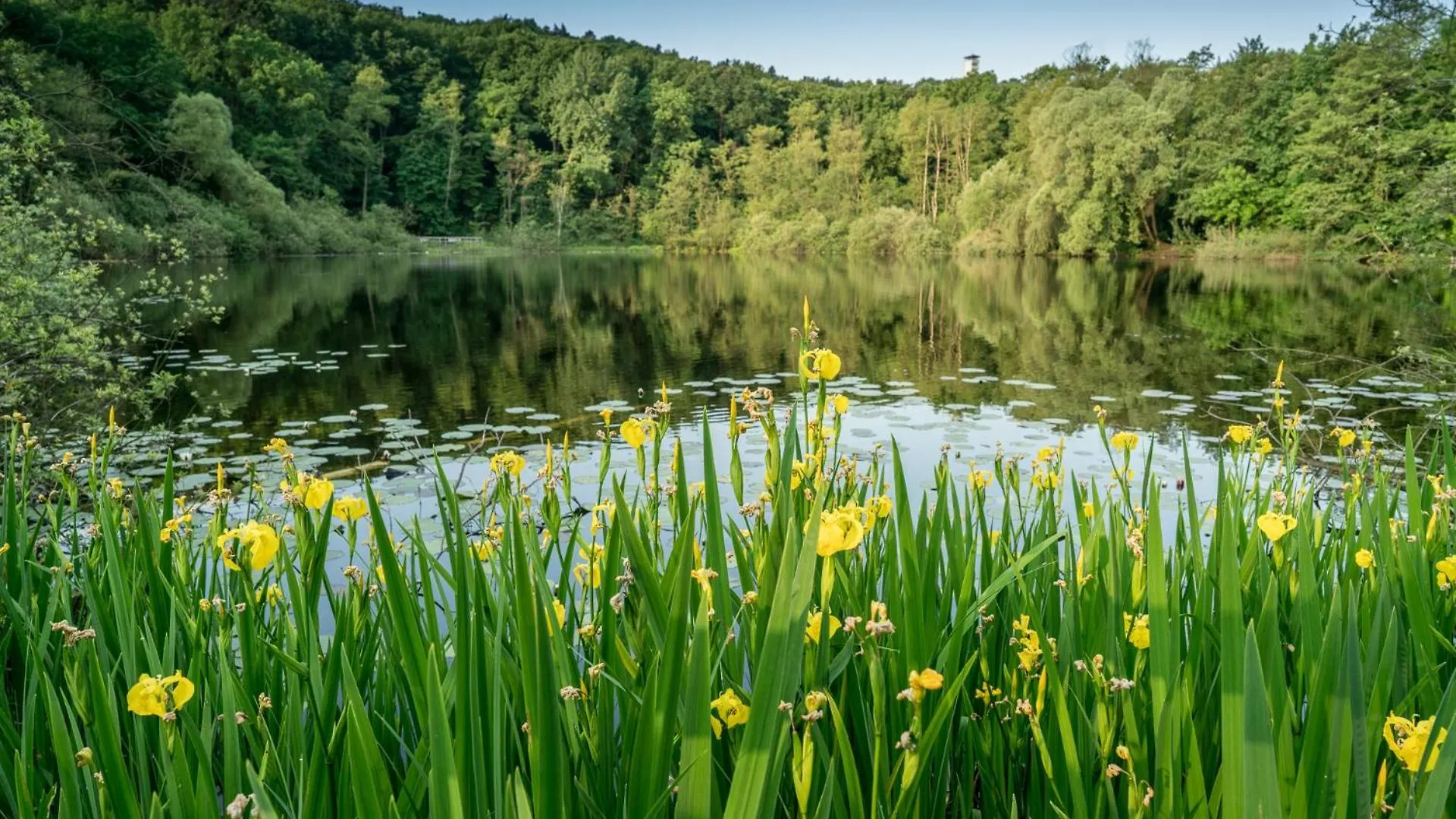 Ferienpark Ruebezahl Am Mueggelsee, Haus 19 Mis Tel Mit Eigener Sauna, Idealer Ort Fuer Natur- Und Erholungssuchende, Fuer Radfahrer Und Familien Mit Kindern Berlin 0*,  Germany