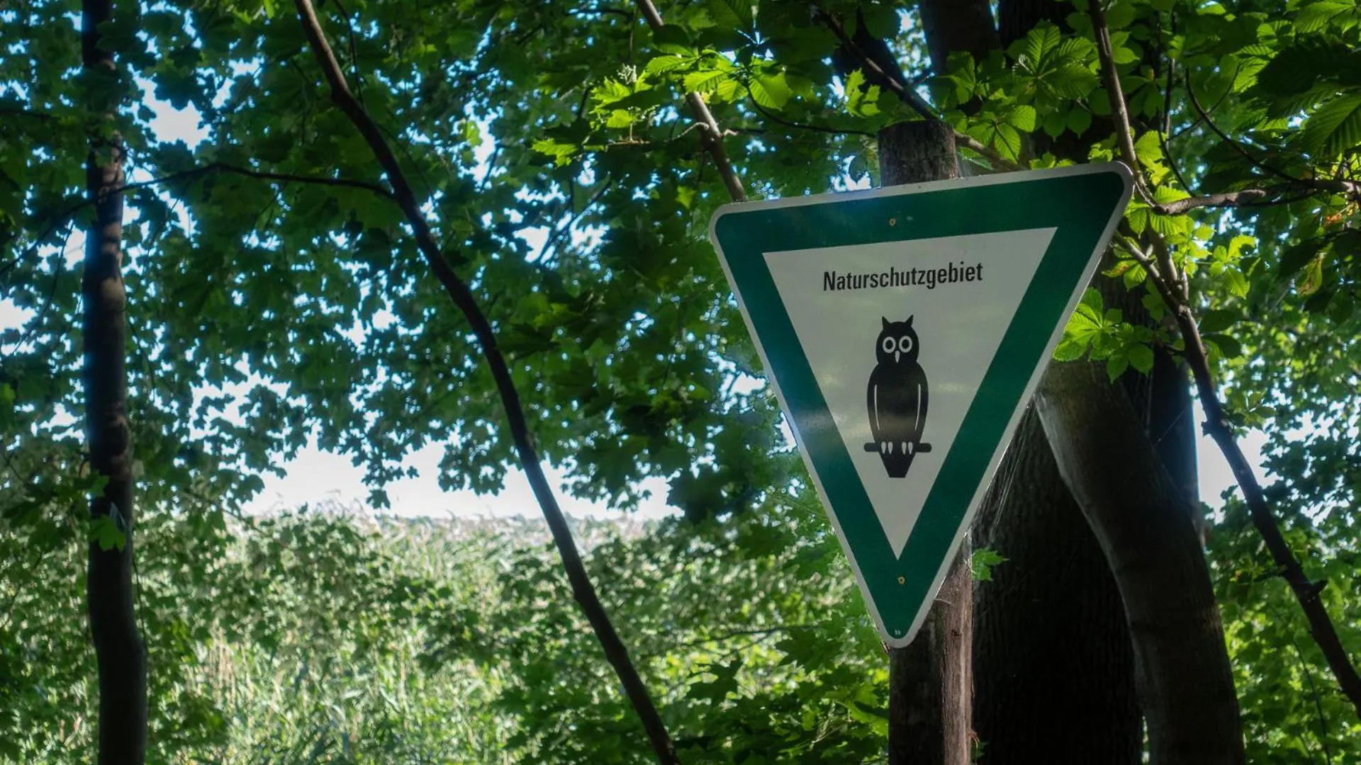 Semesterbostad Ferienpark Ruebezahl Am Mueggelsee, Haus 19 Mis Tel Mit Eigener Sauna, Idealer Ort Fuer Natur- Und Erholungssuchende, Fuer Radfahrer Und Familien Mit Kindern Berlin